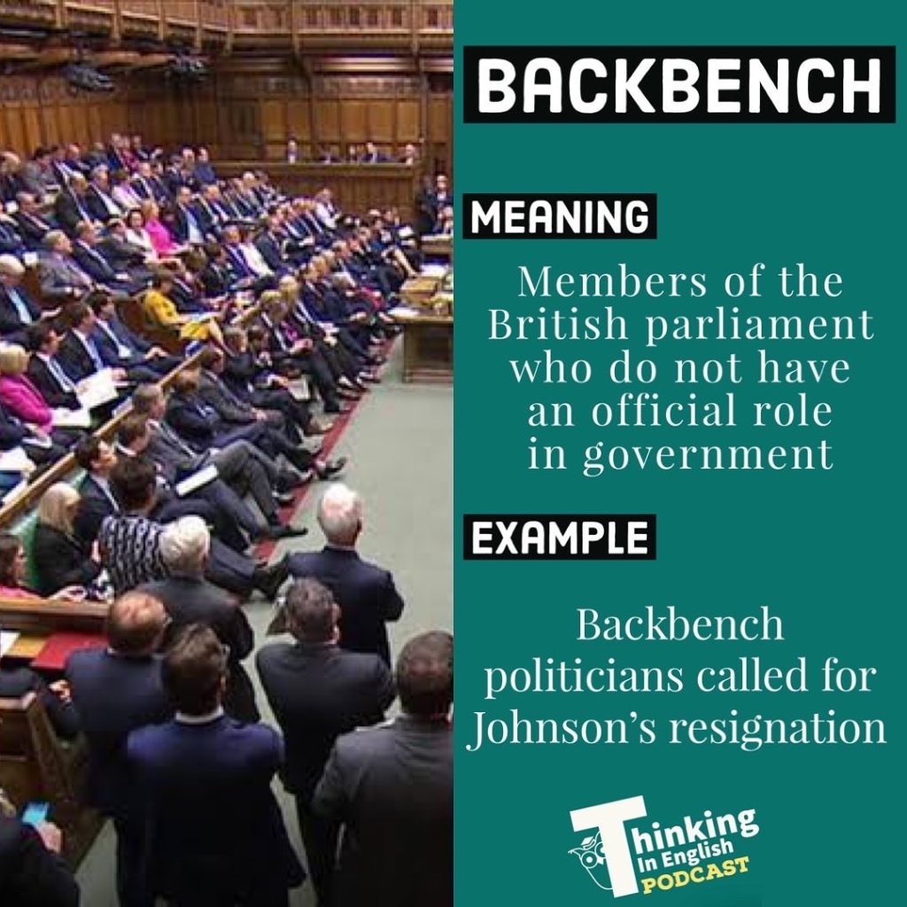 Backbench (Vocabulary) with definition and example sentence.

Made by Thinking in English. Credit thinkinginenglish.blog